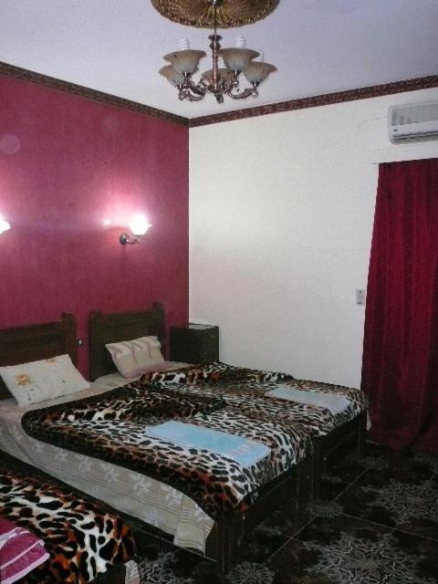 King Tut Hostel القاهرة المظهر الخارجي الصورة